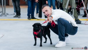 grand prix della ginnastica 0026 sfe00807 copia simone ferraro ph